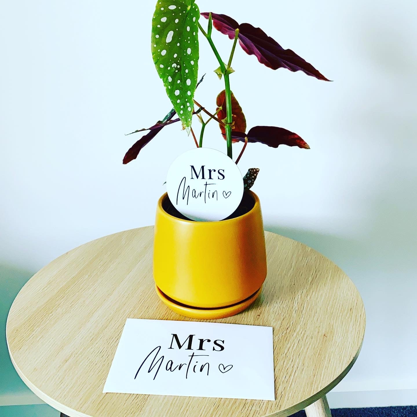 Personalised Acrylic Plant Stake