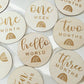 Rainbow  Newborn Monthly Milestone Discs- Wood